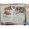 Image 5 : Lot of Vintage National geographic Magazines