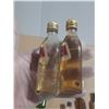 Image 8 : Collection features various miniature alcohol bottles, including brands like Cutty Sark, Seagram's V