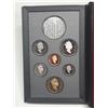 Image 3 : 1993 Double Dollar Proof Set. Missing the Silver Dollar. Housed in its original RCM case.