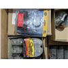 Image 2 : Mixed Xenon Bulbs- Large Box