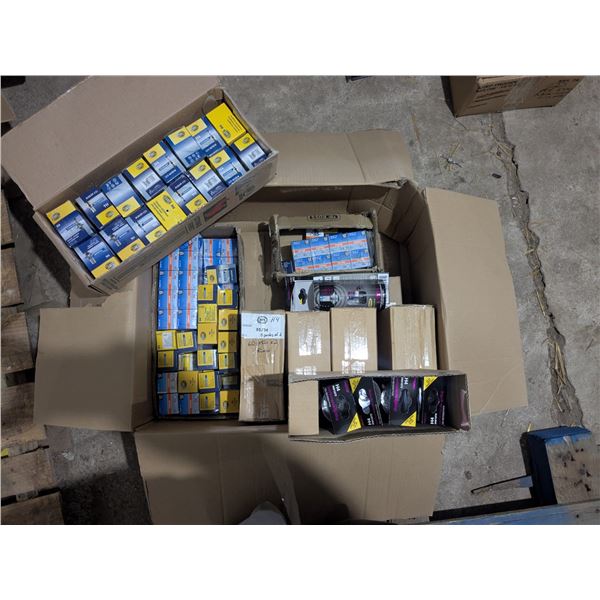 Automotive Bulbs- Mixed types- medium box