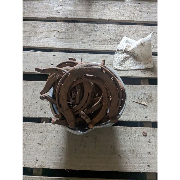 Horse shoes- assorted style and size