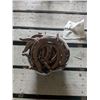 Image 1 : Horse shoes- assorted style and size