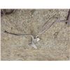 Image 1 : Antique horse drawn Potato hiller