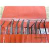 Image 7 : 10 Piece Riffler Needle File Set
