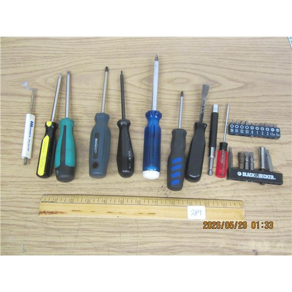 Lot of Screw Drivers and Bits