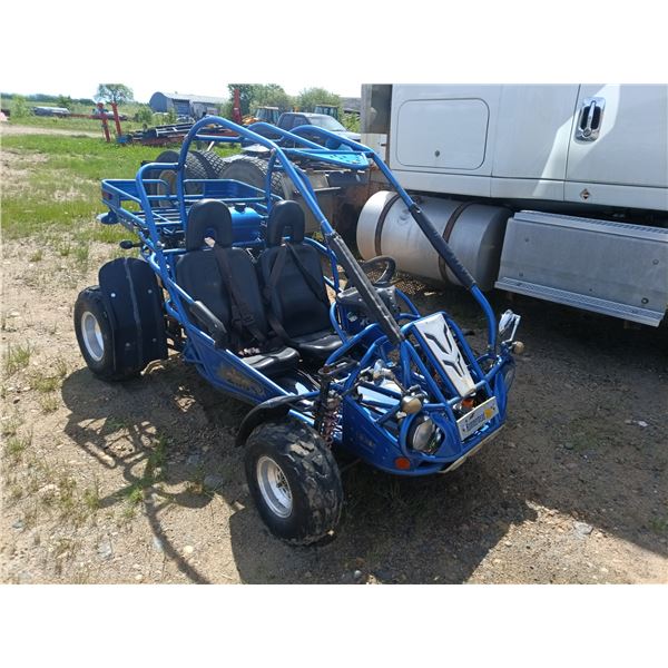 Hammerhead 250 go-kart - 2 seater -was running last year