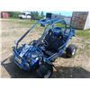 Image 3 : Hammerhead 250 go-kart - 2 seater -was running last year