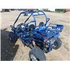 Image 4 : Hammerhead 250 go-kart - 2 seater -was running last year