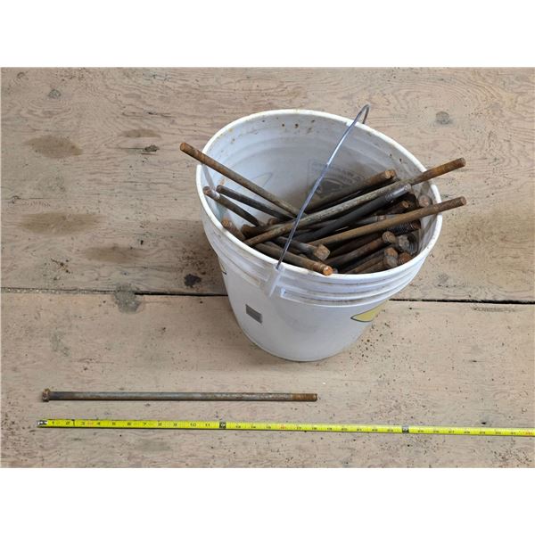 Bucket of large bolts- 18"L