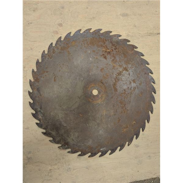 Large 31" Saw Blade