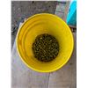 Image 1 : pail of Nuts and Bolts As Shown