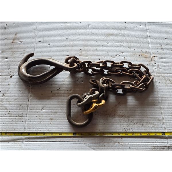 Chain with hooks