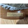 Image 2 : Ducks Unlimited Duck Decoy Statue Sponsor Decoy-Harvey Welch 10"L 1999-2000