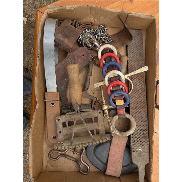 mixed horse tack