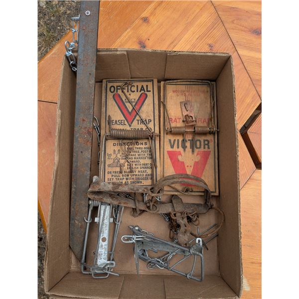 Assorted small mammal/large rodent traps