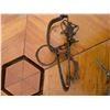 Image 2 : Assorted small mammal/large rodent traps