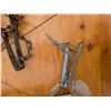 Image 3 : Assorted small mammal/large rodent traps