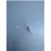 Image 3 : round folding card table, 4 legs, some damage to vinyl top