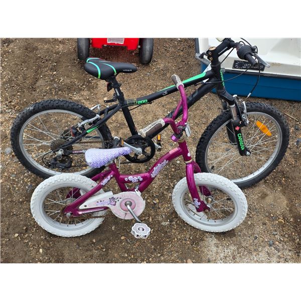 2 kids bikes