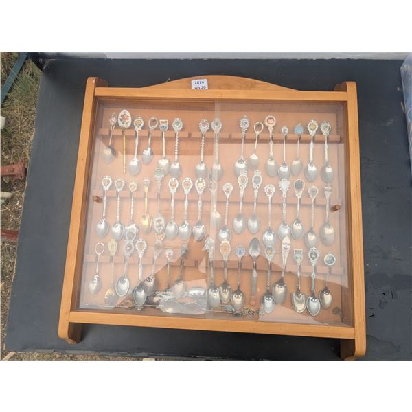spoon collection, over 50 spoons in display case