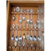 Image 2 : spoon collection, over 50 spoons in display case