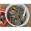 Image 3 : 2 buckets of coil nails