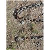 Image 2 : Metal chain- 20Ft