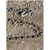 Image 3 : Metal chain- 20Ft