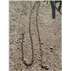 Image 1 : Metal chain- 16Ft