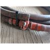 Image 2 : (2) Hoses (1) Air Hose