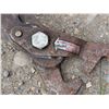 Image 5 : (3) Vintage Garden Shears