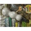 Image 3 : Skunk Culture Magazine, Seeds, Blueberry Skunk, Snowman, etc.