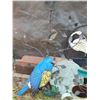 Image 4 : Yard decor.