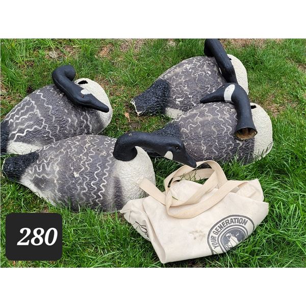 4 decoy geese.