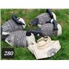 Image 1 : 4 decoy geese.