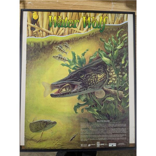 "Water Wolf" framed informative poster