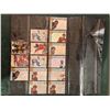 Image 1 : Hockey Card Folder