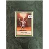 Image 1 : Saskatchewan Roughriders - The Flame