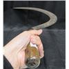 Image 4 : Hand Sickle