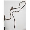 Image 3 : Leather Bullwhip