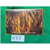 Image 1 : 2004 Uncirculated Coin Set
