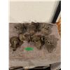 Image 1 : Lot of (6) Sediment Bowls w/ Fuel Pump