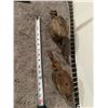 Image 4 : (2) Small Wooden Pullies