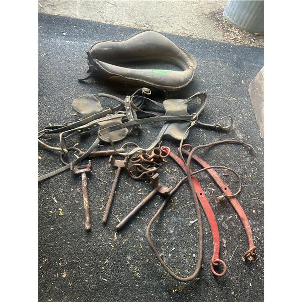 Lot of Horse Related Items – Collar, Bridles, Bit, etc.