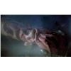 Image 3 : NIGHTMARE ON ELM STREET 5 A THE DREAM CHILD DAN'S DEATH SCENE ARM SCREEN MATCHED