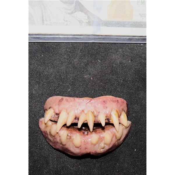 NOS4A2 VAMPIRE CHILD SCREEN USED HERO TEETH B