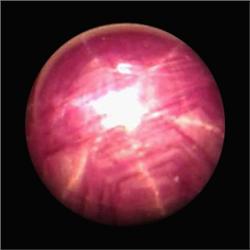 9.20ct Oval Cabochon Red Star Ruby (GEM-21400)