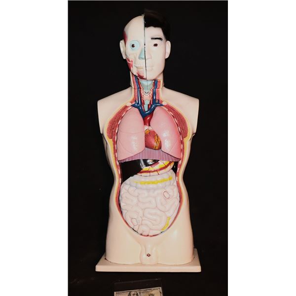ZZ INVISIBLE MAN VINTAGE MEDICAL TRAINING MANNEQUIN