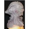 Image 2 : STAR TREK DISCOVERY KLINGON SILICONE MASK SCREEN USED 12